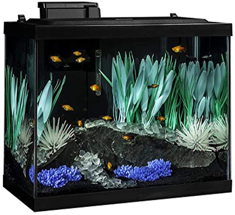 Tetra ColorFusion Aquarium