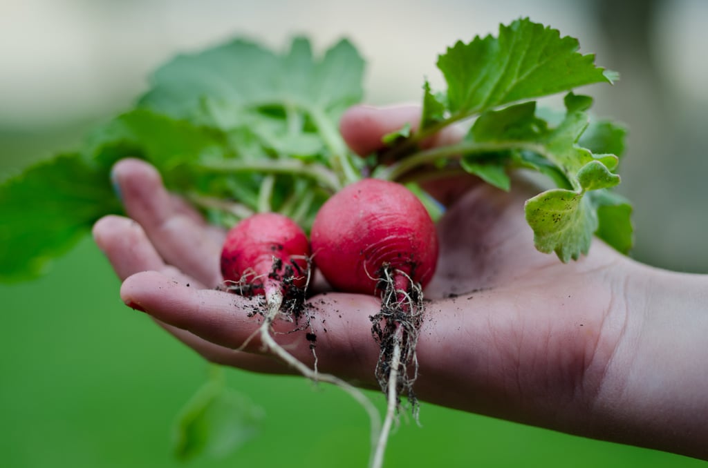 Share homegrown food with friends and family.