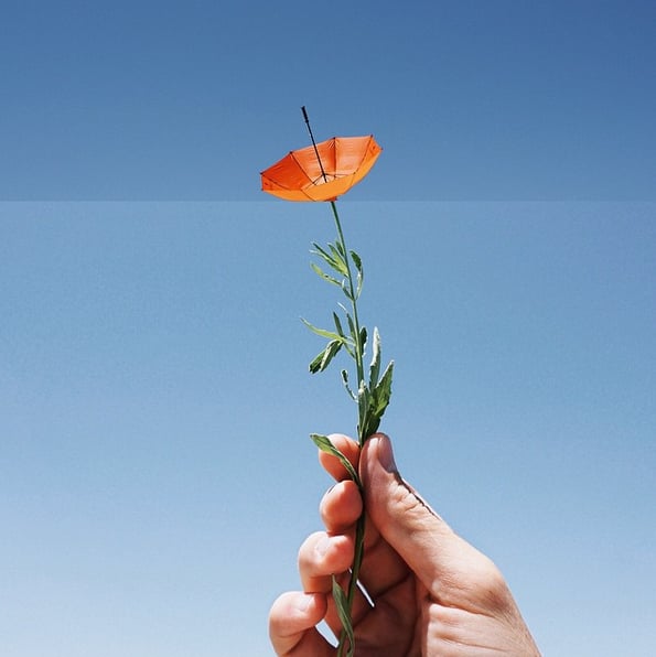 Umbrella + Wildflower Stem