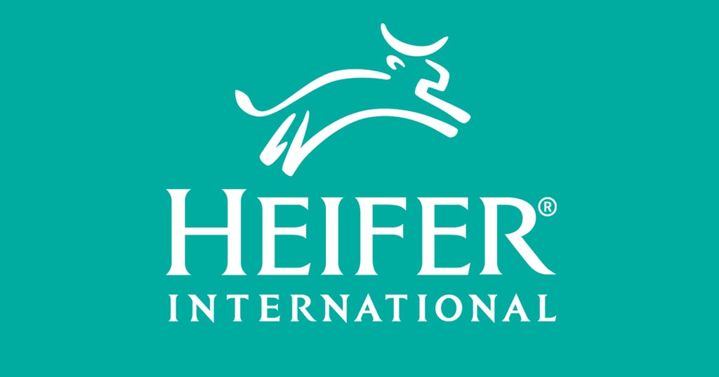 Heifer goat
