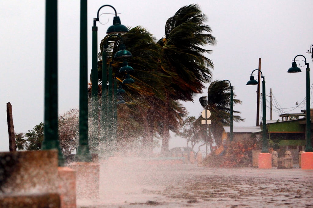 Résultats de recherche d'images pour « puerto rico hurricane »