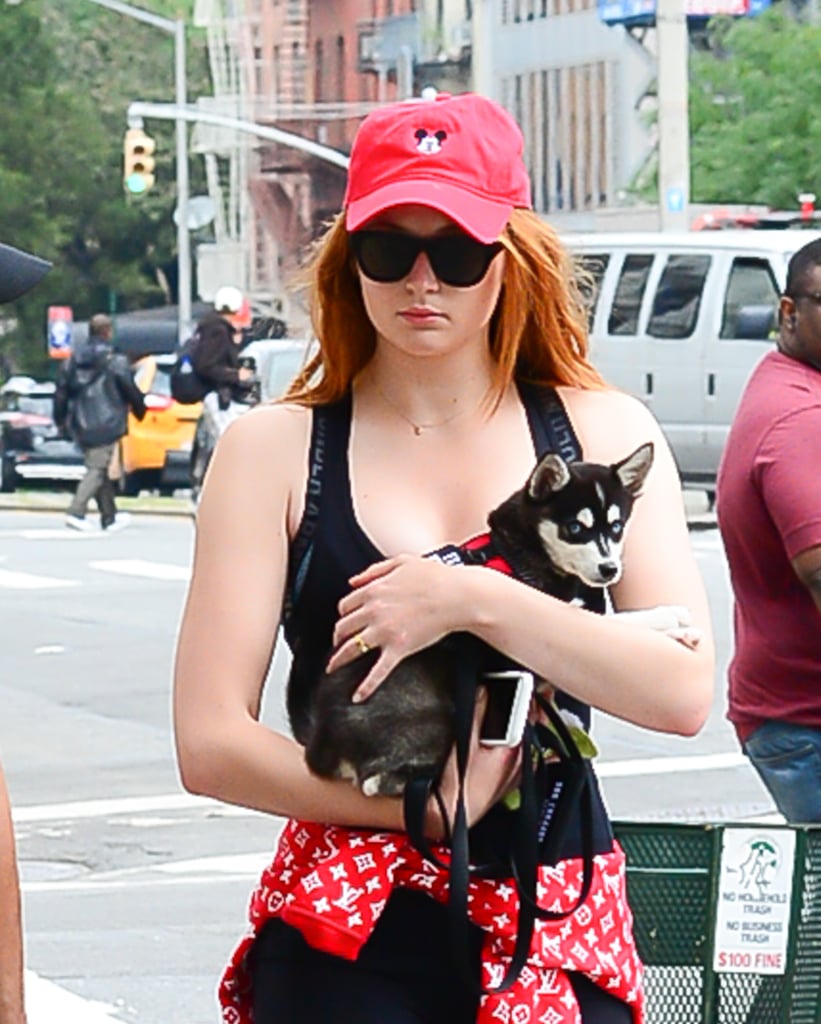 Sophie Turner and Joe Jonas Out With Their Dog
