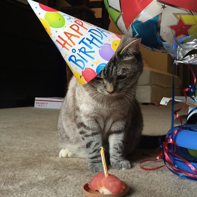 "I can't wait to eat this little fishy."