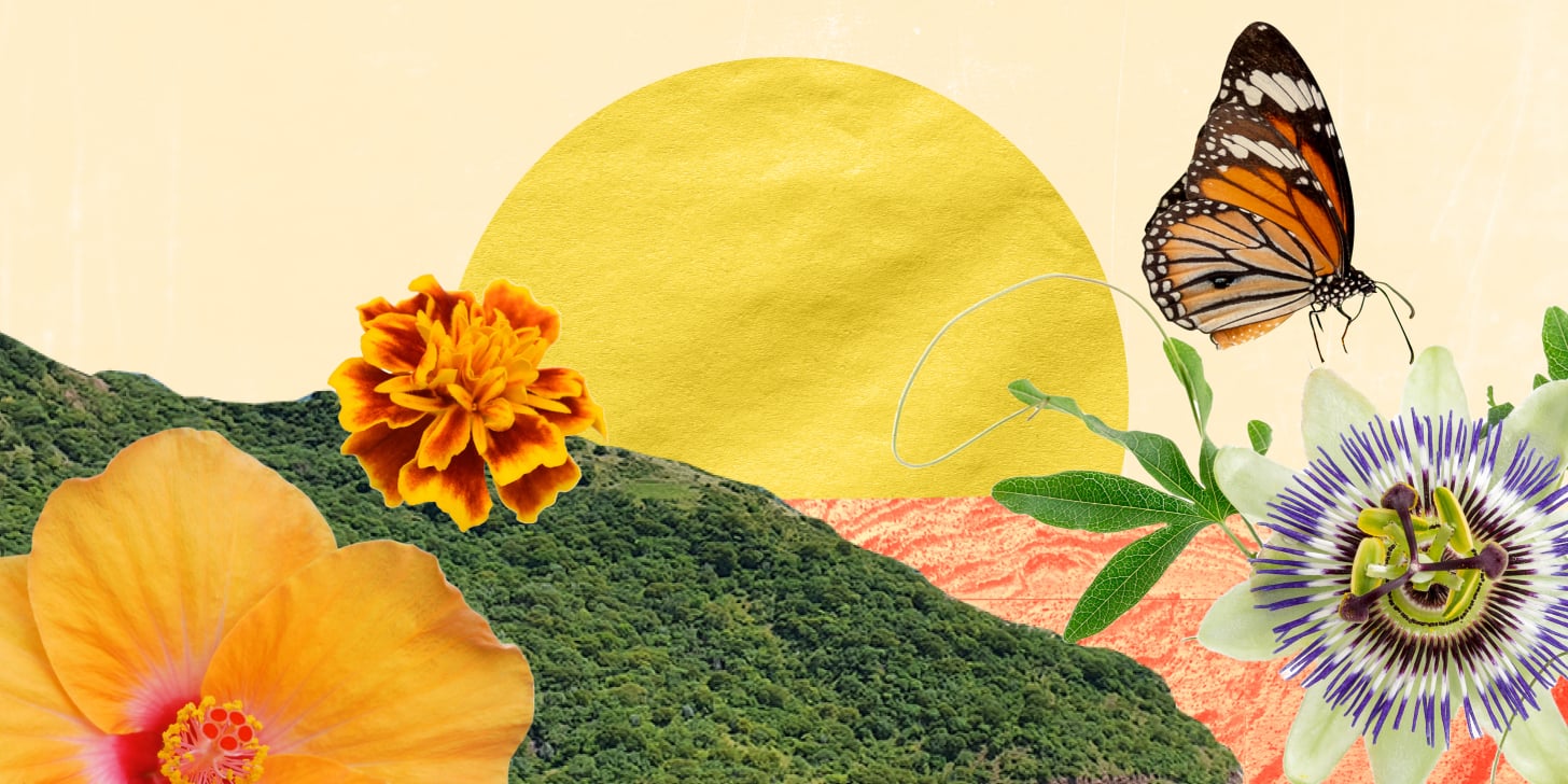 Introducing De la Editora, the Latine Newsletter That Brings Our Community Together