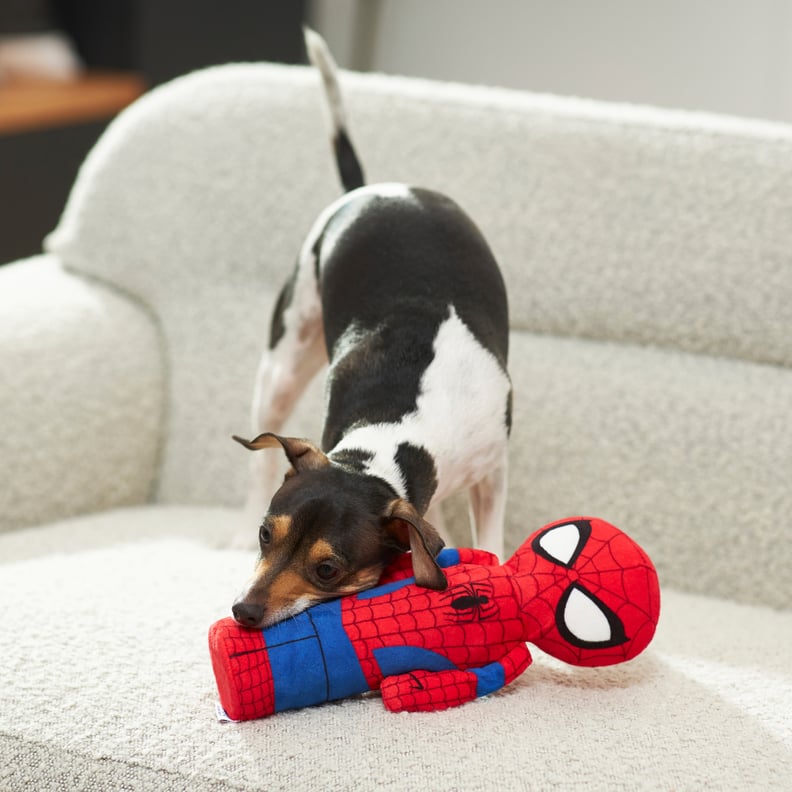 Marvel's Spider-Man Bottle Plush Squeaky Dog Toy