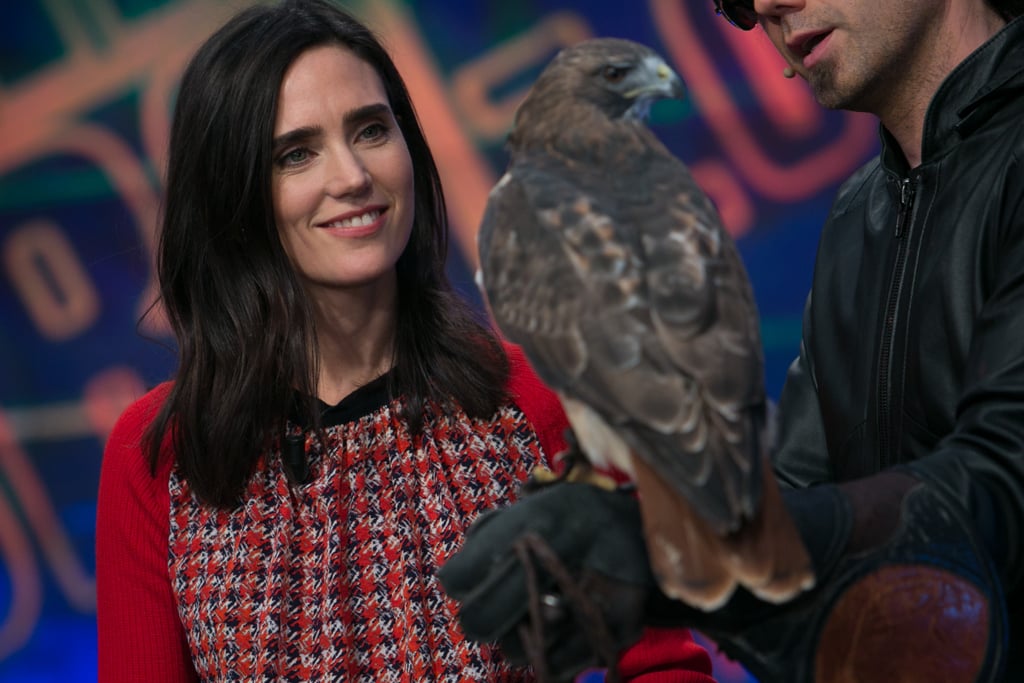 On Thursday, Jennifer Connelly filmed an episode of El Hormiguero for Spanish TV with a bird.