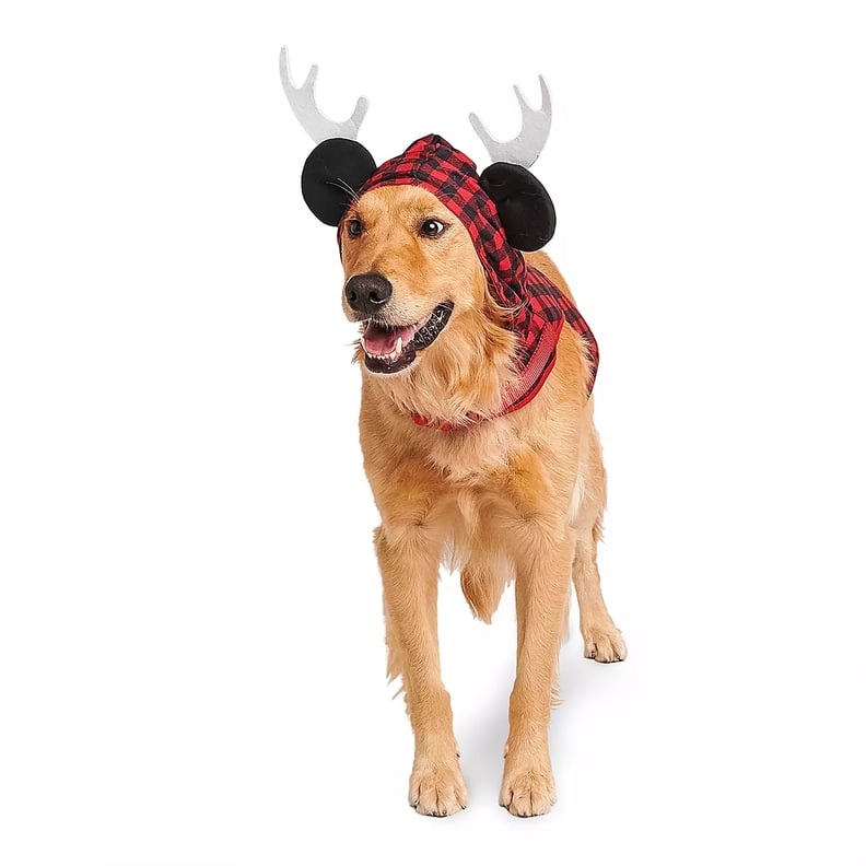 Hooded Mickey Reindeer Harness