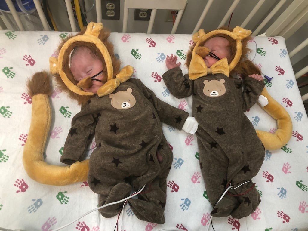Lions