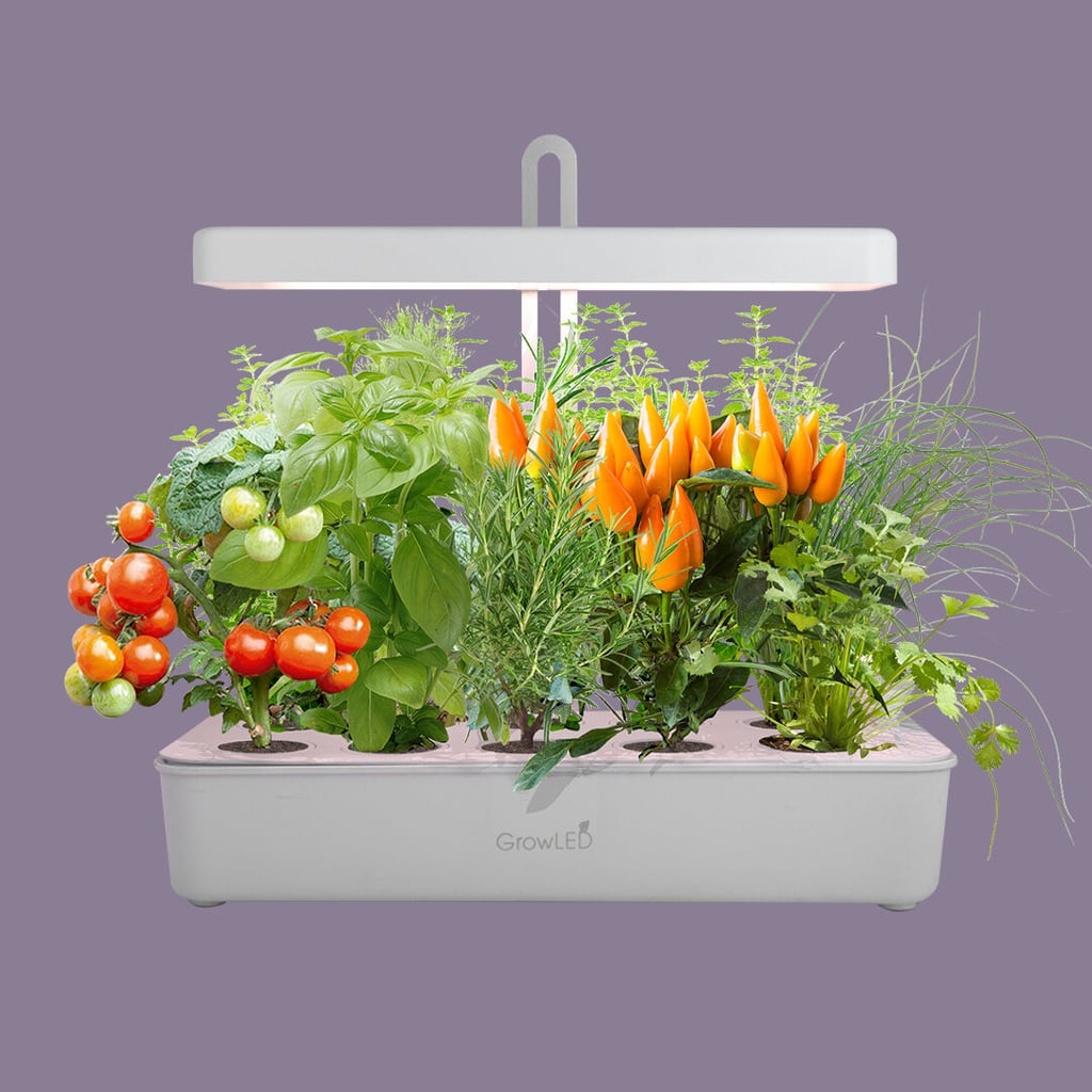 GrowLED Shape Hydroponic Indoor Garden Grow Light
