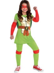 Raphael version