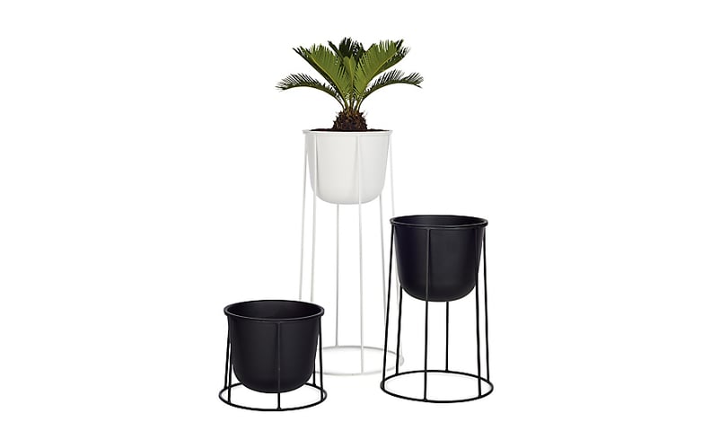 Design Within Reach Wire Planter