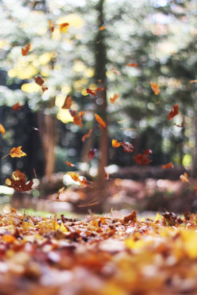 20 Cosy Fall Wallpapers For Your iPhone