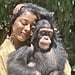 Victoria Monét's Chimpanzee Friend Has Twitter Going Bananas
