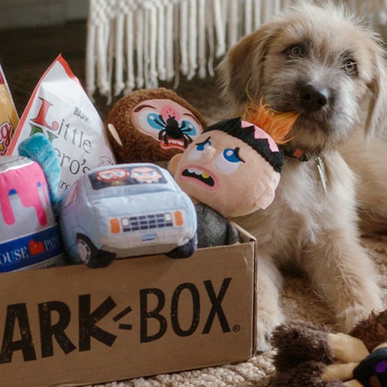 Home Alone BarkBox and Super Chewer Toys and Treats | 2020