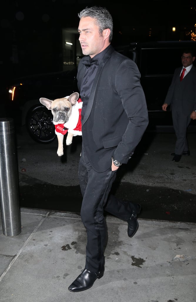 Lady Gaga and Taylor Kinney Dress Their Dogs Like Santa