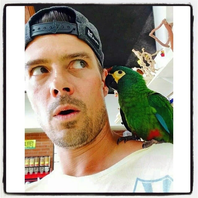 Josh Duhamel had a parrot on his shoulder.
Source: Instagram user joshduhamel
