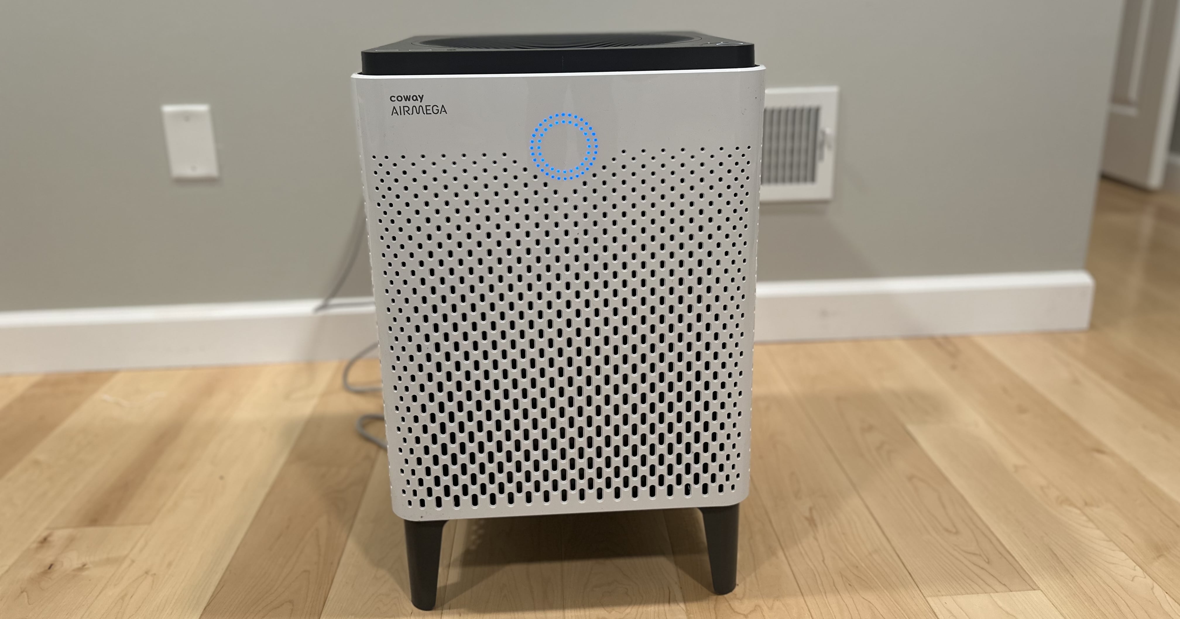 I Have a Severe Pollen Allergy and This Air Purifier Helps Me Breathe Easy