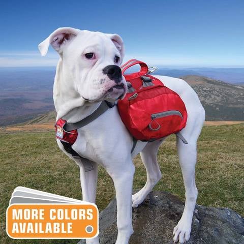 Baxter Dog Backpack