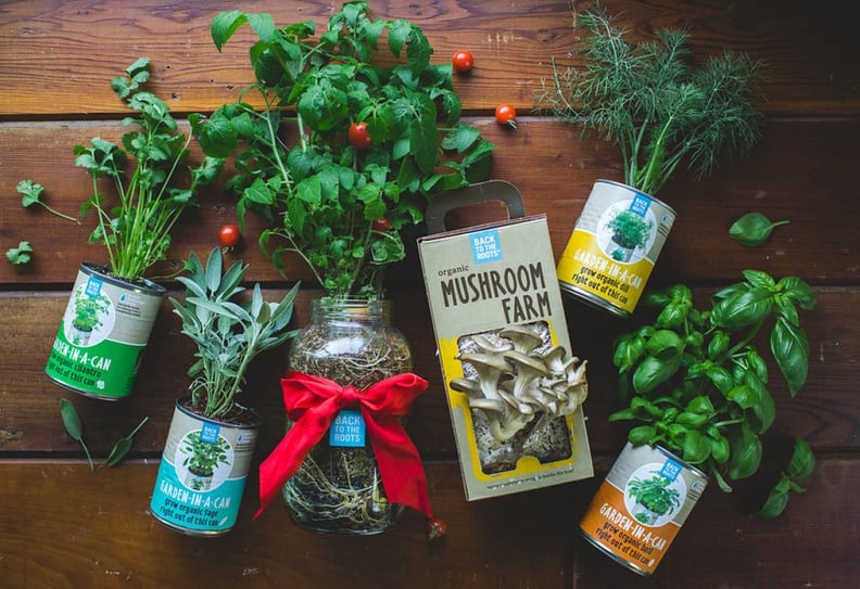 Back to the Roots Family Farm Gift Set