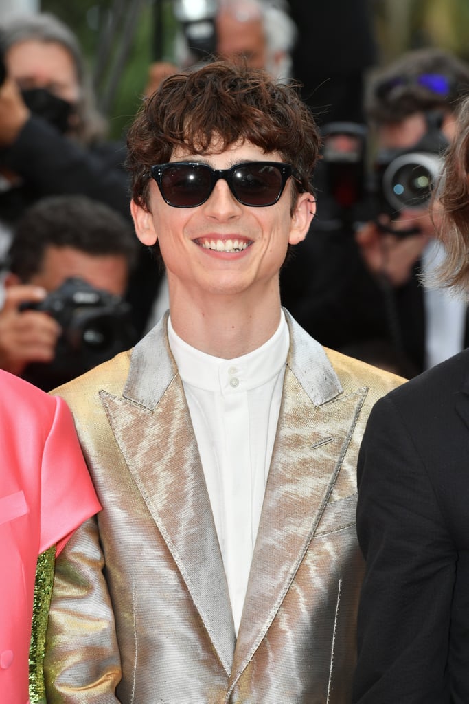 Timothée Chalamet Wears Silver Suit Outfit to Cannes: Photos