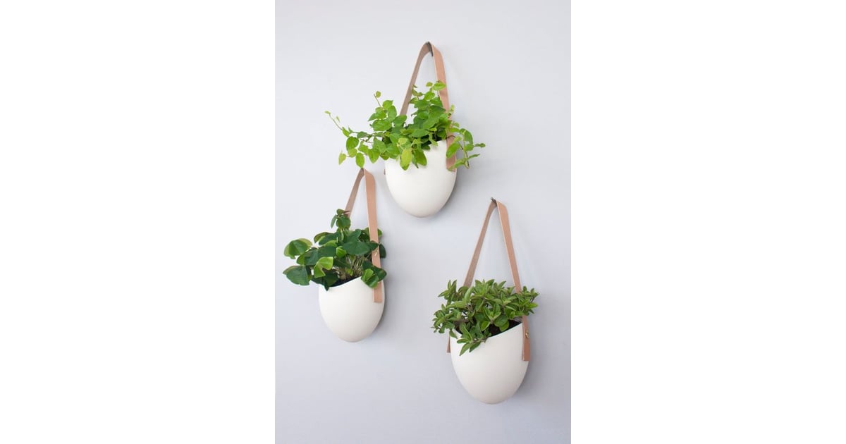 Hanging Wall Planters 2015 POPSUGAR Holiday Gift Guide POPSUGAR