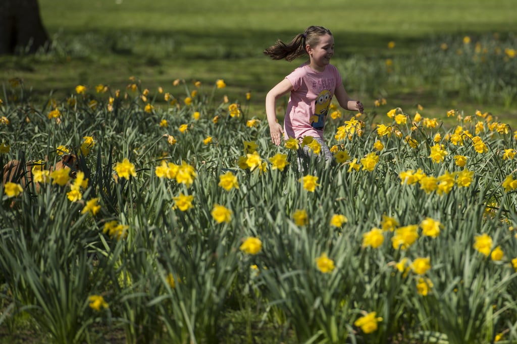 Pictures of England's Bank Holiday April 2015