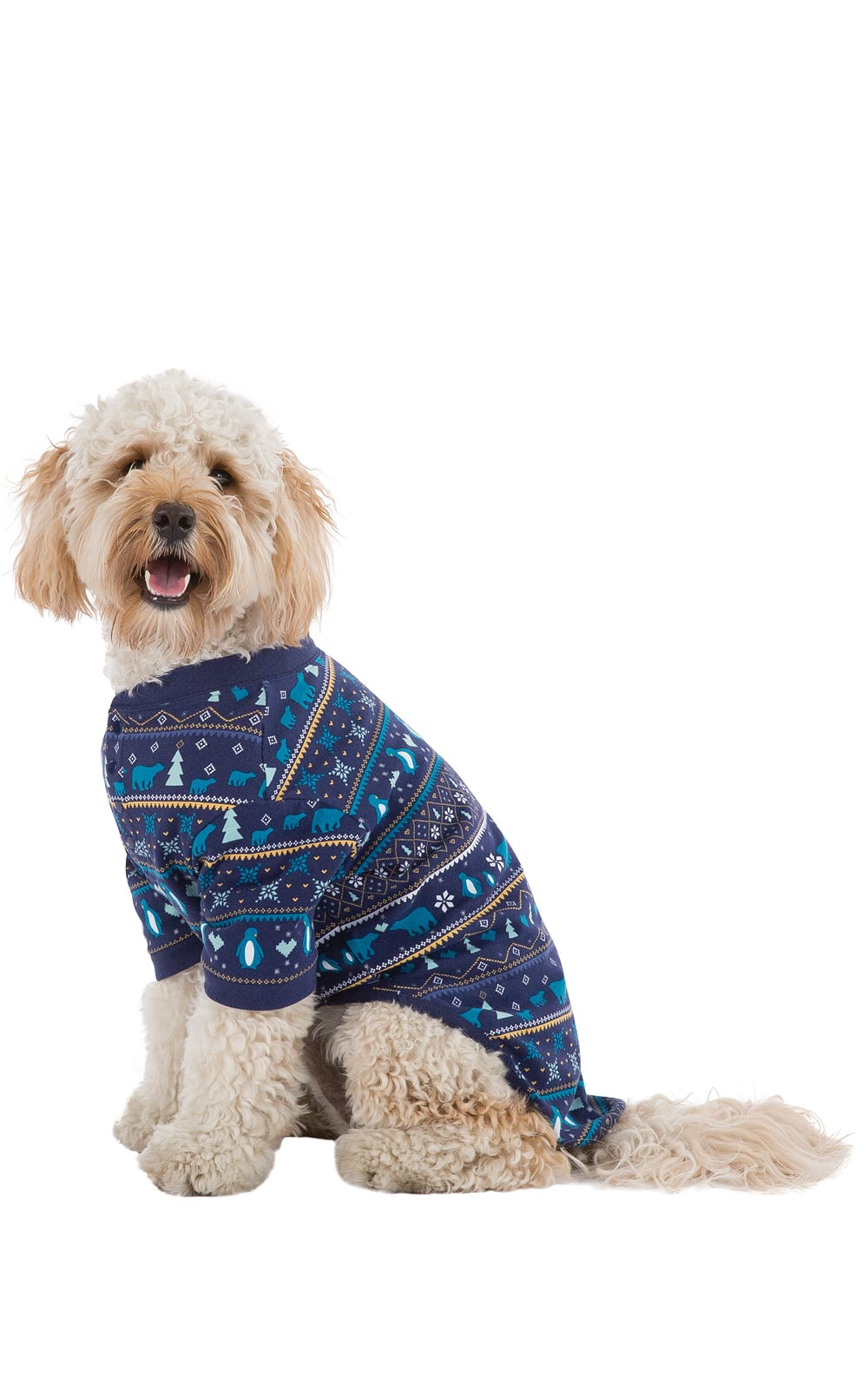 Cutest Dog Christmas Pajamas Popsugar Family
