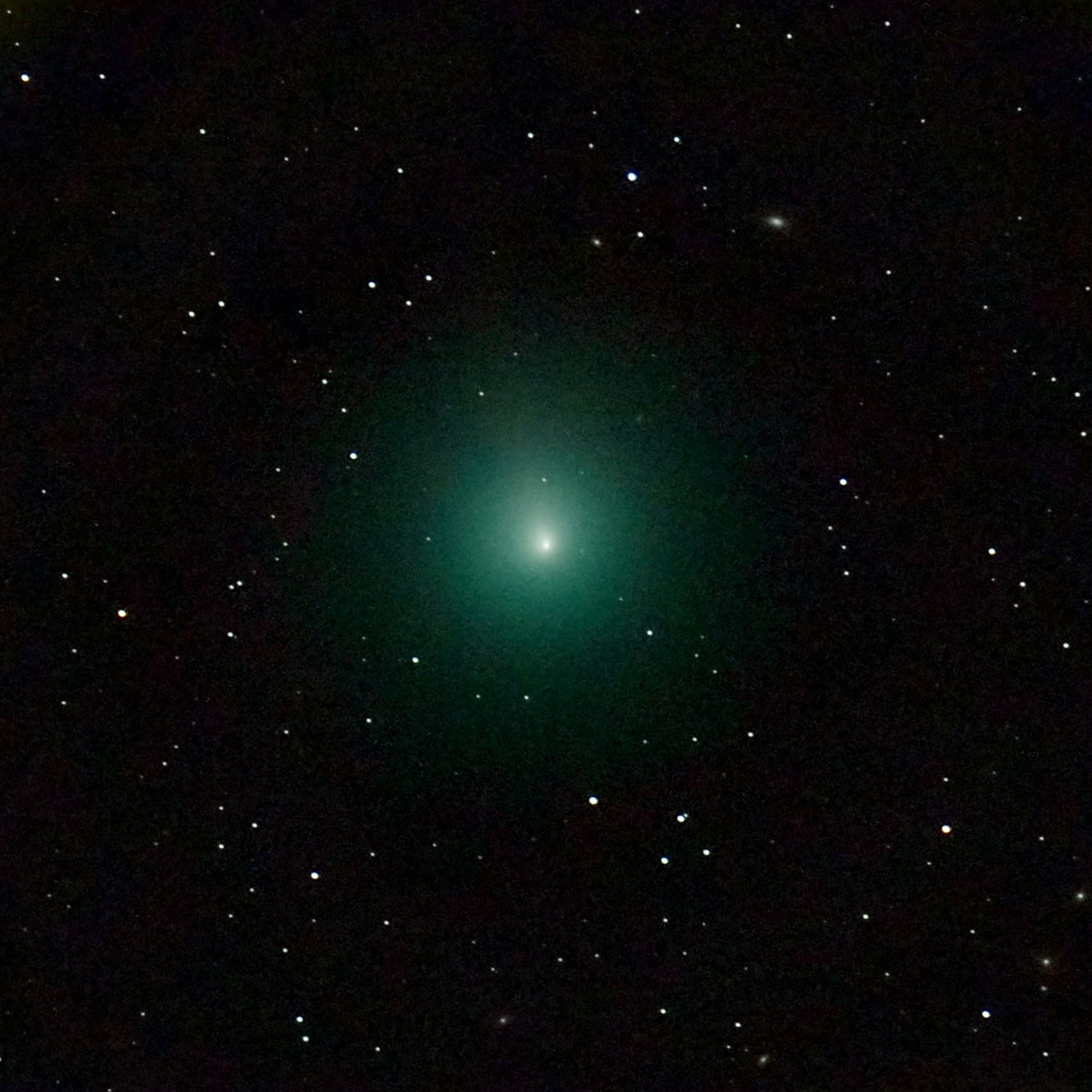 This picture taken from Paris region with a telescope on December 3, 2018 shows the 46P/Wirtanen comet as it will come closer to Earth on December 16, 2018. - The comet will be closer and visible from Earth if weather allows until December 22, 2018. (Photo by Nicolas Biver / LESIA/Observatoire de Paris-PSL / AFP)        (Photo credit should read NICOLAS BIVER/AFP/Getty Images)