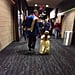 Dad and Daughter Dressed Up For Beauty and the Beast