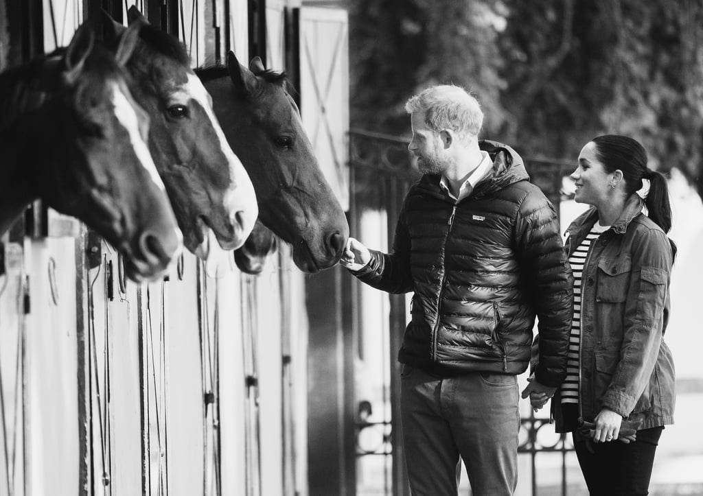 Meghan and Harry With Horses on Morocco Tour February 2019