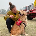 My Heart Now Belongs to This Golden Retriever Who's Comforting California Firefighters