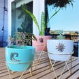 Who Knew This $25 Planter Trio at Target Could Have So Many Uses? Here Are 6 Ways I Use Mine