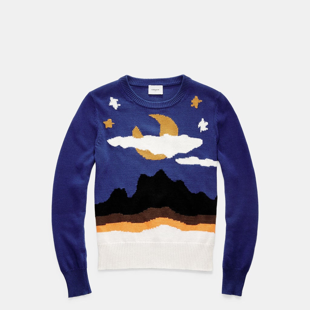 This Coach sweater ($495) reminds me of something straight out of a paint-by-numbers project and I kind of love it. 
— MC