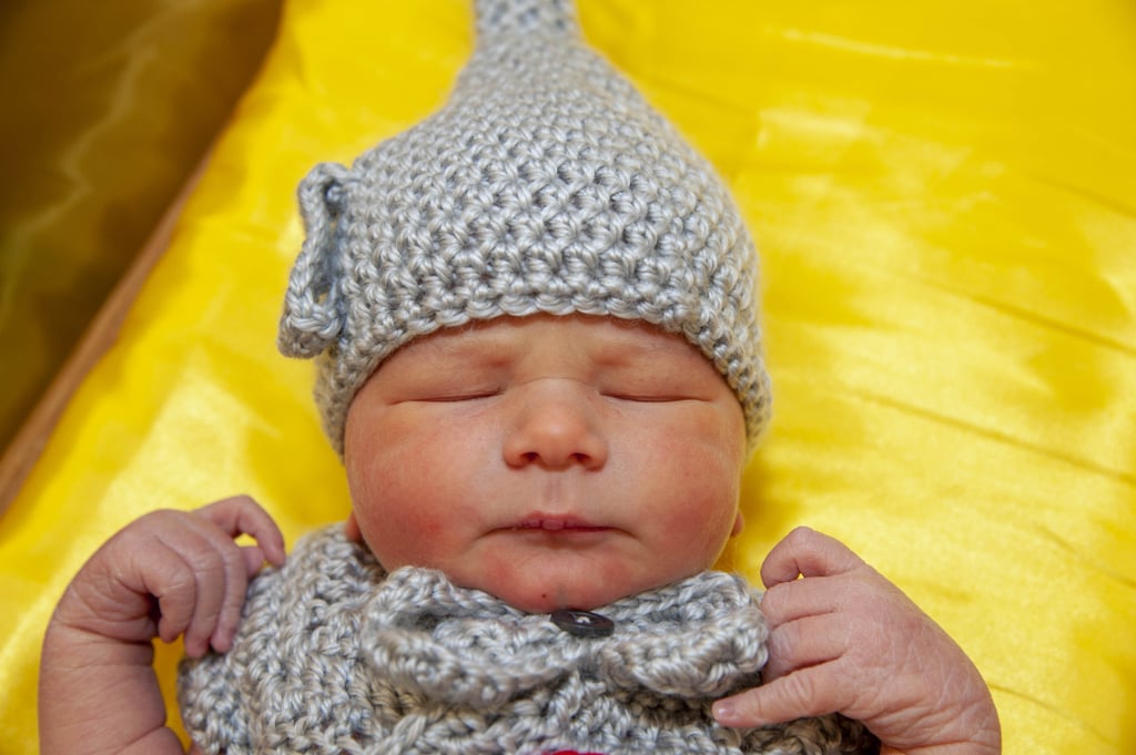 Newborn Babies Dressed in Wizard of Oz Costumes