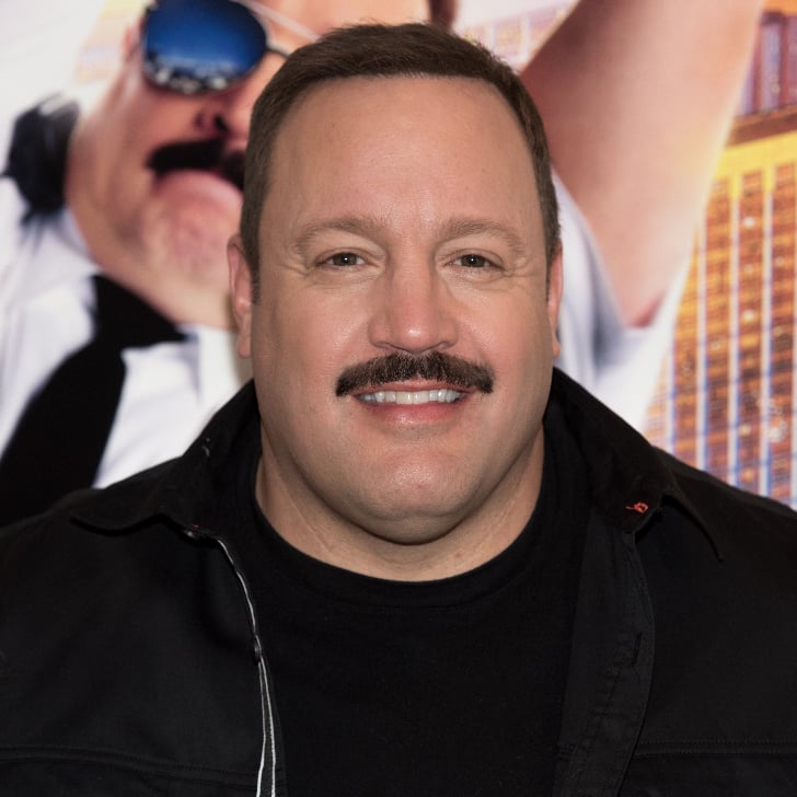 Kevin James Popsugar Entertainment