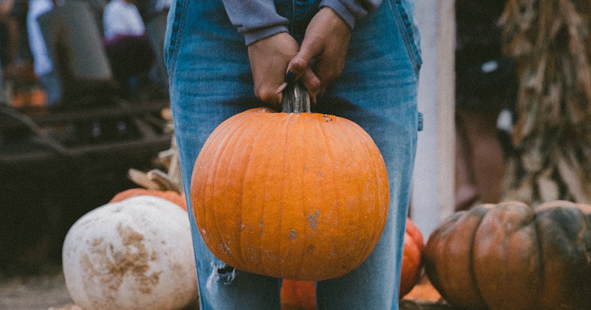 How to Grow Pumpkins in an Apartment | POPSUGAR Home