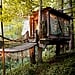 Coolest Tree Houses