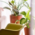 10 Easy but Impactful Ways to Refresh Your Home in the New Year