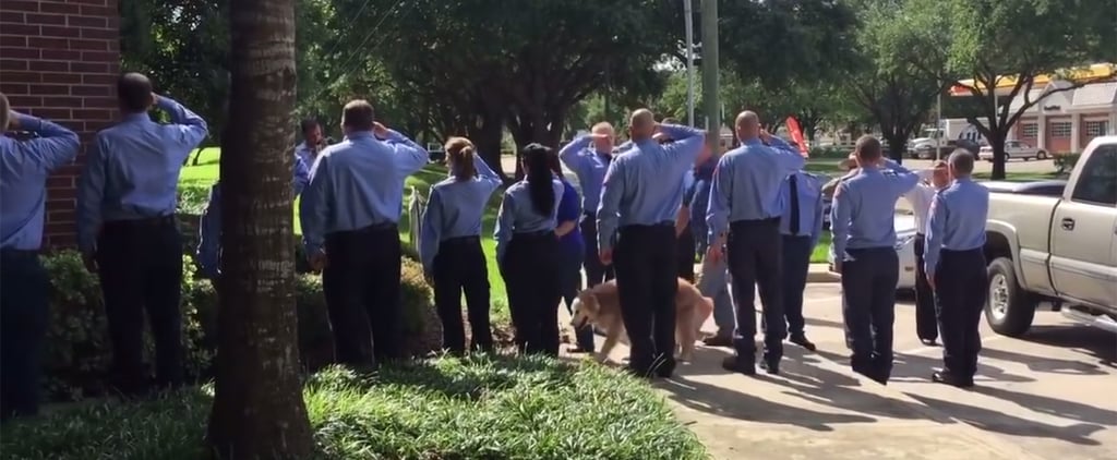 Sept. 11 Rescue Dog Dies at 16