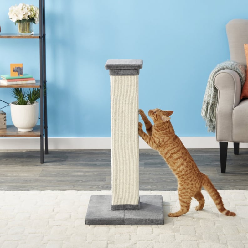 Frisco 33.5-in Sisal Cat Scratching Post