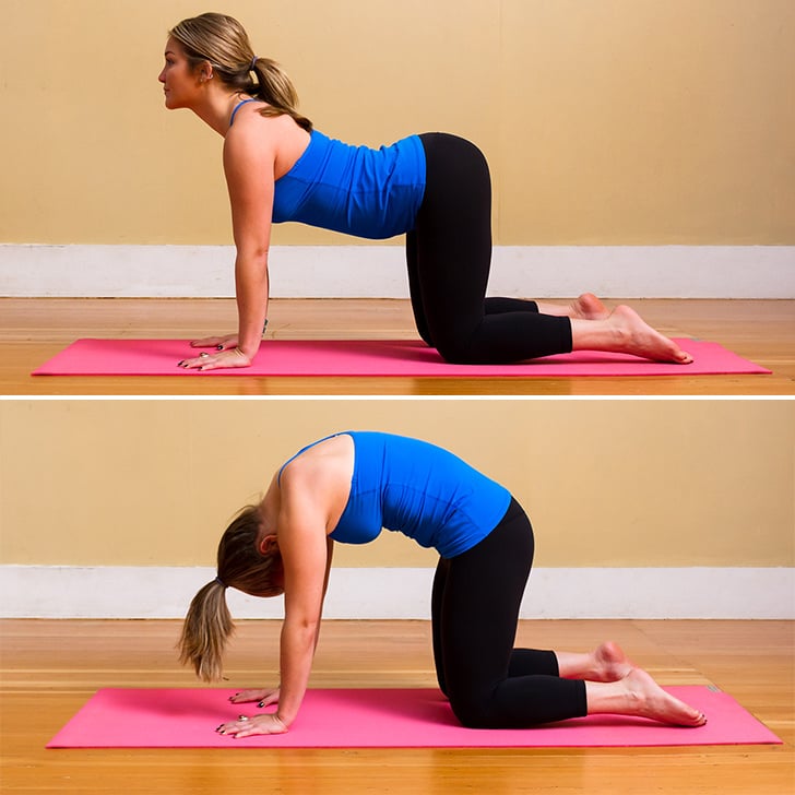 Cow to Cat Stretch | Yoga Poses For Neck Pain | POPSUGAR ...