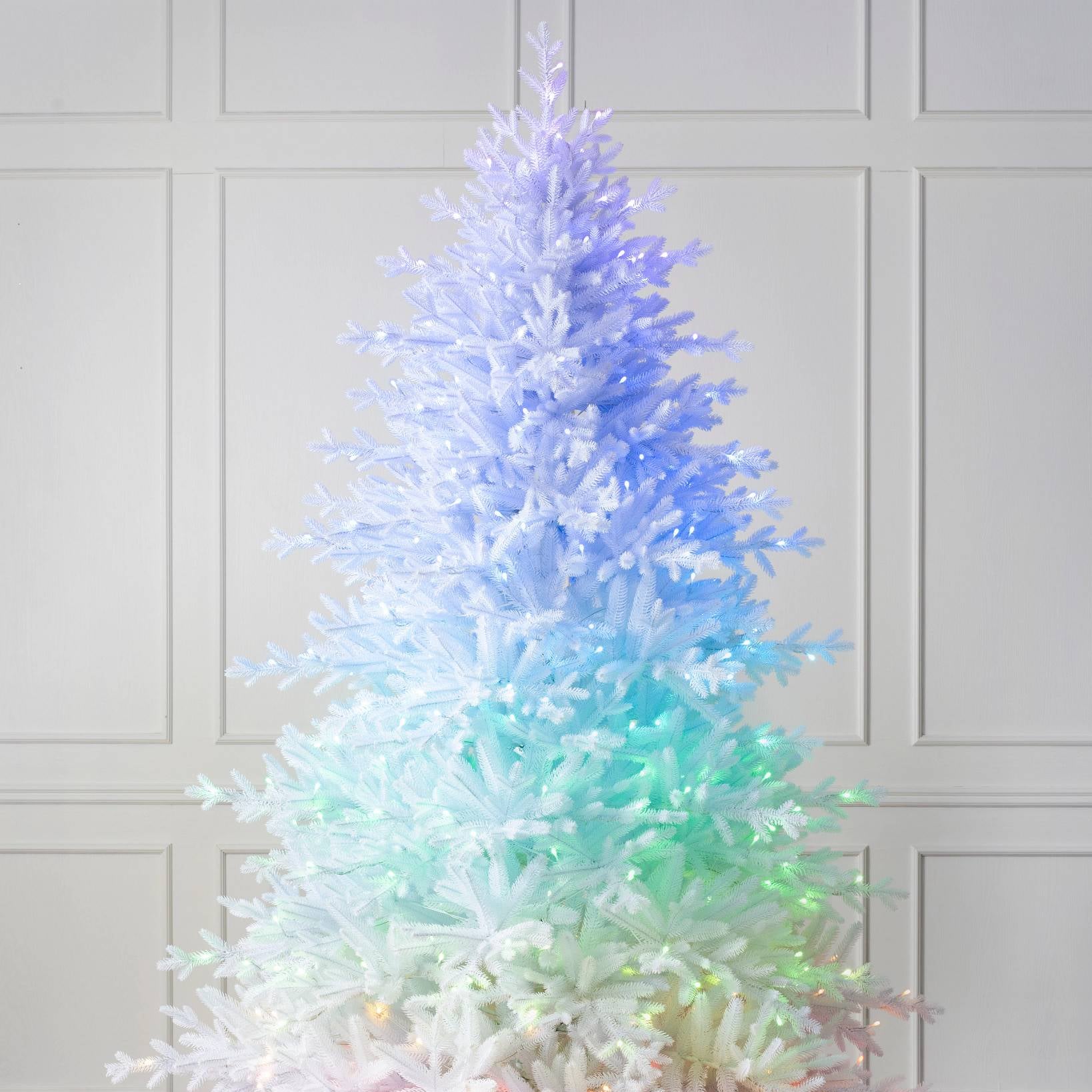 Show on sale christmas tree
