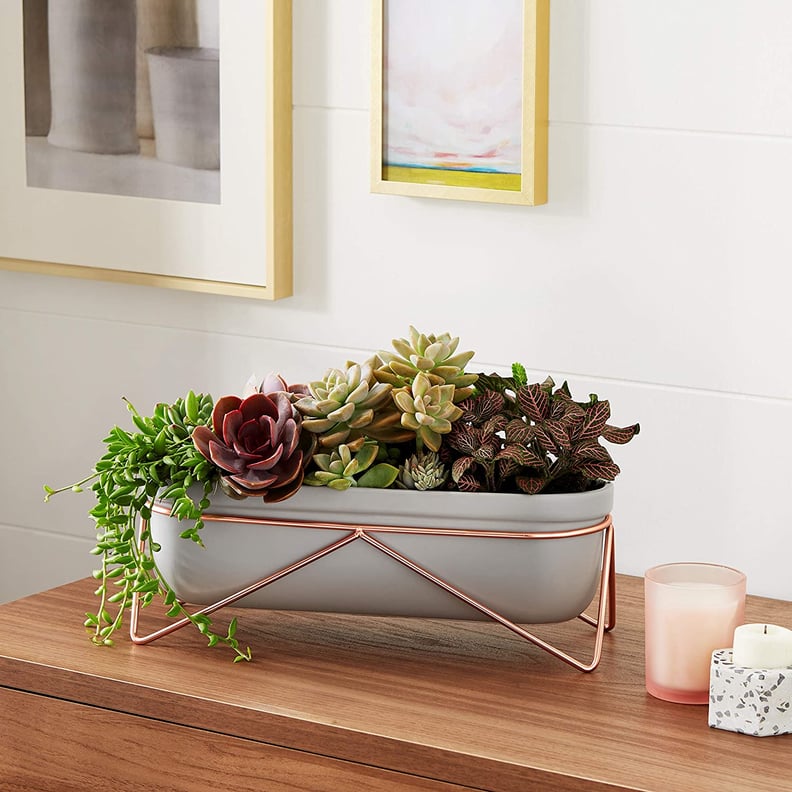 Amazon Basics Tabletop Planter