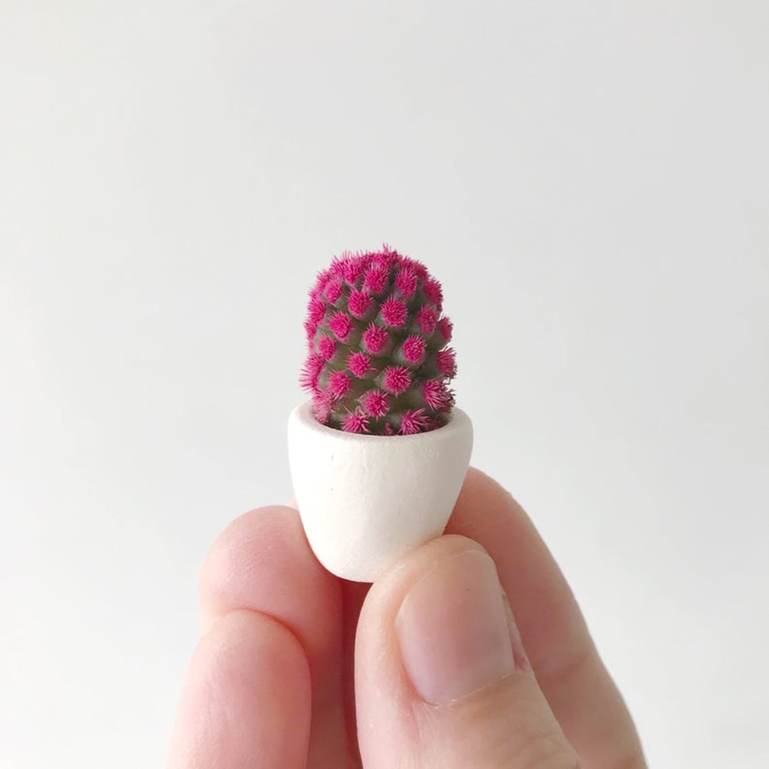 Cute Micro Succulents You Can Buy on Etsy | PS Home