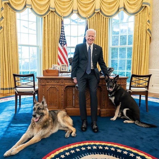 See Champ and Major Biden's First Oval Office Photo