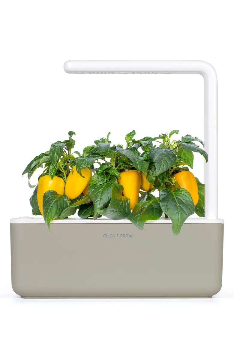 For the Plant Parent: Click & Grow Smart Garden 3 Self Watering Indoor Garden