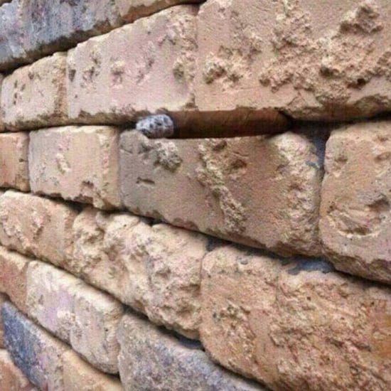 Brick Wall Optical Illusion Photo