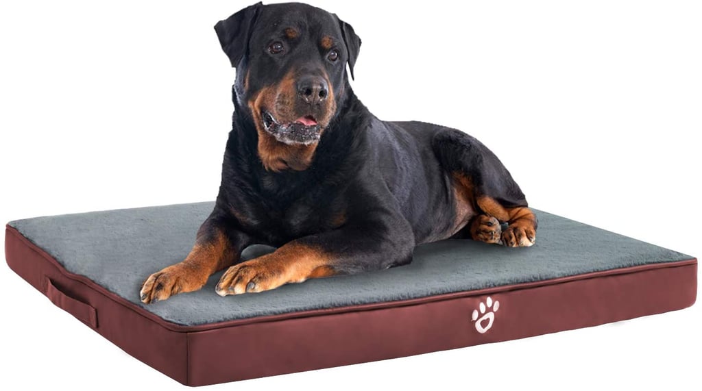 Utotol Orthopedic Dog Bed