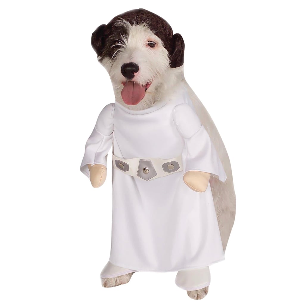 Star Wars Princess Leia Dog Costume