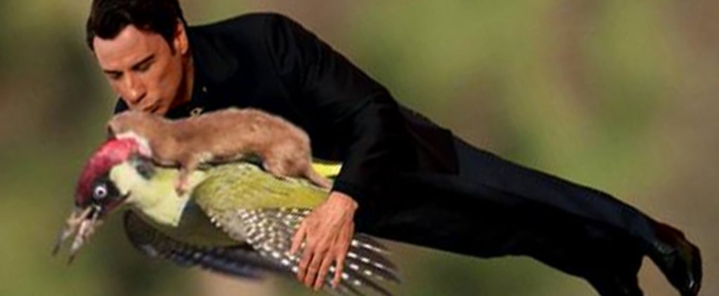 Top That! WeaselPecker Episode